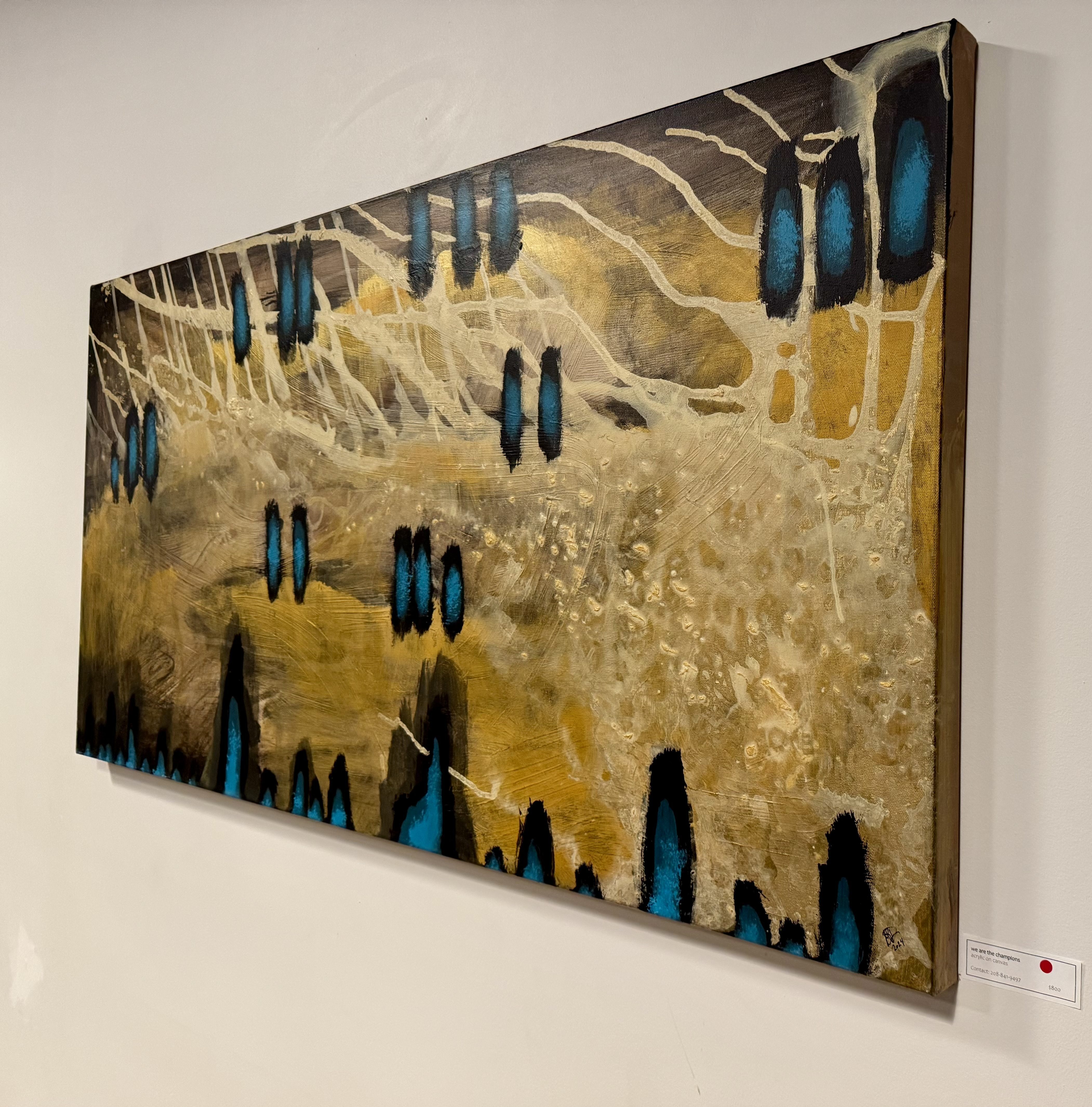 satellite gallery image