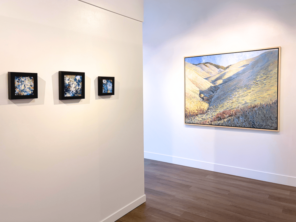 idaho art gallery boise location exhibition image