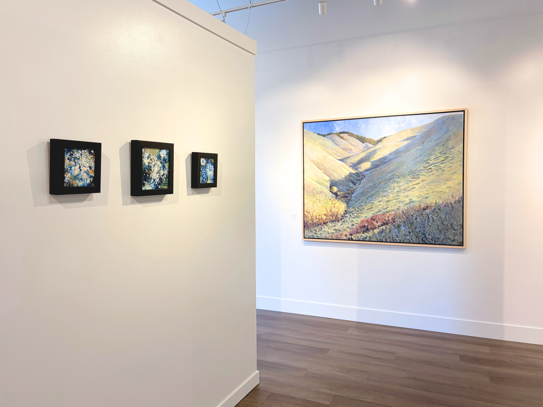 idaho art gallery boise location exhibition image