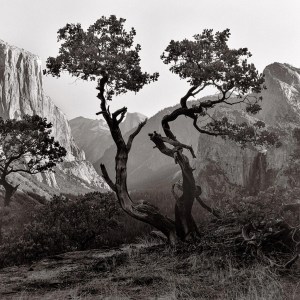 local idaho artist painting