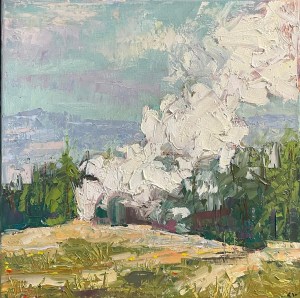 local idaho artist painting