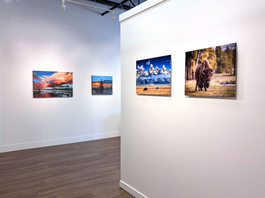 idaho art gallery meridian art exhibition