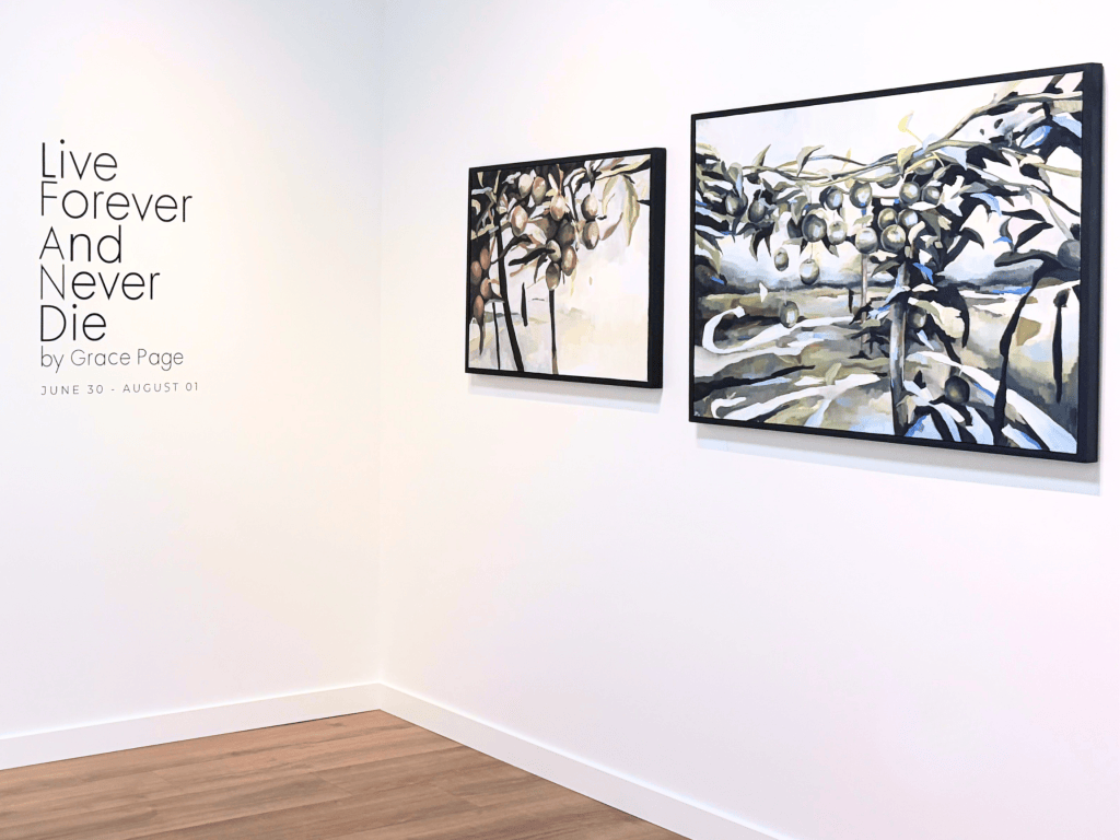 idaho art gallery boise exhibition image