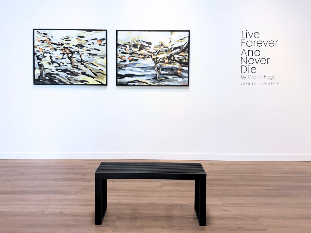 idaho art gallery boise exhibition image