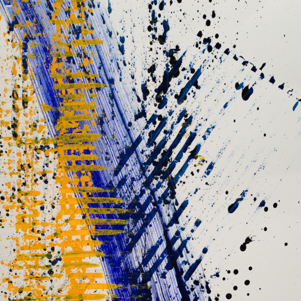 local idaho artist scott blaser painting