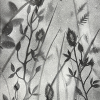 local idaho artist painting