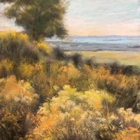 local idaho artist painting